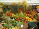 chelsea-flower-show-049